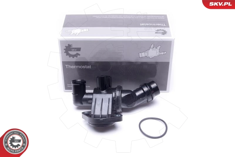 Thermostat, coolant